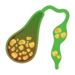 vesícula